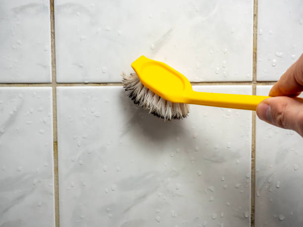 Charlotte Hall, MD Mold Removal Company