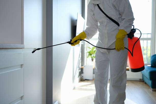 Best Fast Mold Removal  in Charlotte Hall, MD