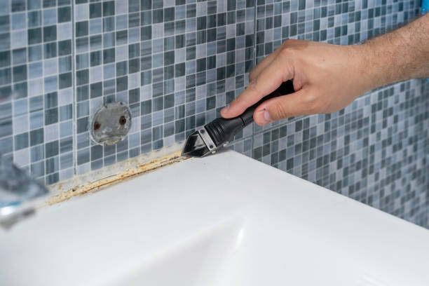 Mold Removal Process in Charlotte Hall, MD