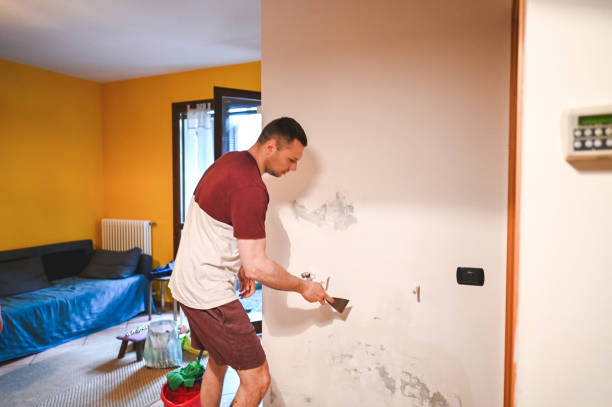 Best Attic Mold Removal  in Charlotte Hall, MD